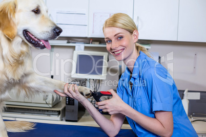 Smiling woman vet taking care of a dog and posing