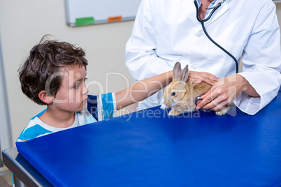 A little boy petting his rabbit