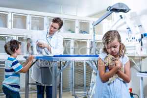 A little girl bringing a rabbit while woman vet is examining a d