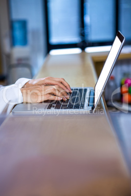 Close up of woman vet working with her laptop