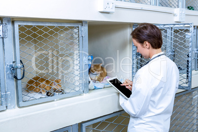 A woman vet taking notes with tablet computer