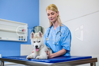 A woman vet petting a dog