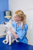 A woman vet petting a dog