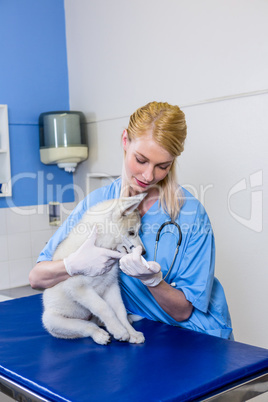 A woman vet examining a dog