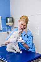 A woman vet examining a dog