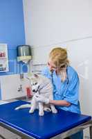 A woman vet examining a dog