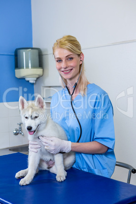 A woman vet posing and smiling with a dog