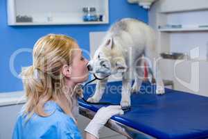 A woman vet kissing a dog