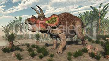 Triceratops dinosaur - 3D render