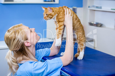 A woman vet bringing a cat