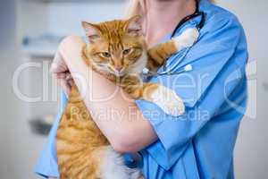A woman vet bringing a cat