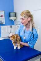 A woman vet petting a cat