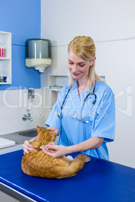 A woman vet putting down a cat