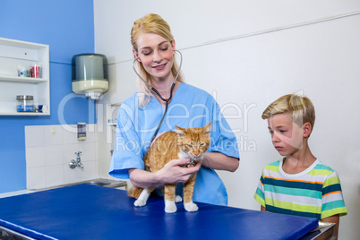 A woman vet examining a cat