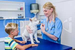 A woman vet putting down a dog