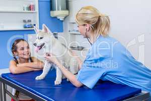 A woman vet examining a dog in front of a little girl