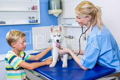 A woman vet examining a dog