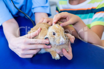 Close up of woman vet examining rabbit with children