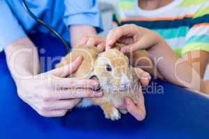 Close up of woman vet examining rabbit with children