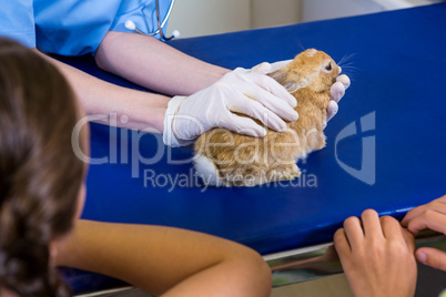 Close up of woman vet petting a rabbit