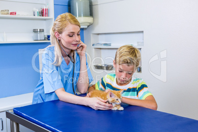 A woman vet examining a kitten in front of a little boy