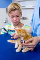 Close up of woman vet examining kitten with a little boy