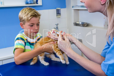 A woman vet putting down a kitten