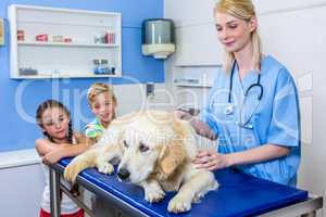 A woman vet and children looking a dog