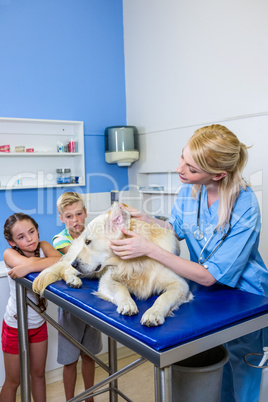 A woman vet examining a dog