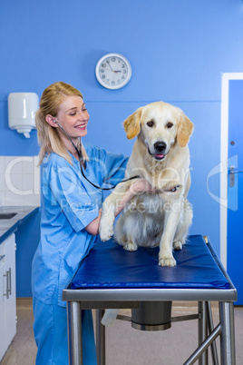 A woman vet examining a dog