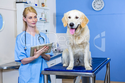 A woman vet with tablet computer looking a dog