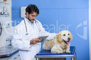 A man vet petting a dog and looking his tablet computer