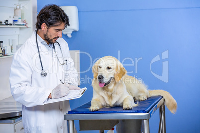 A man vet looking a dog an taking notes
