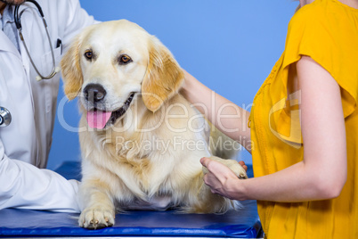 Close up of woman holding a paw of her dog