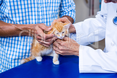 Close up of woman vet and her customer petting a kitten