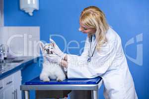 A woman vet examining a dog