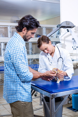 A woman vet examining a kitten