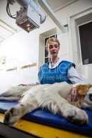A woman vet petting a dog