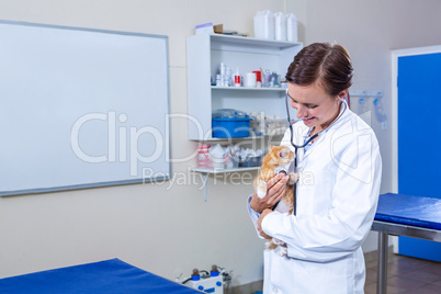 A woman vet bringing a kitten