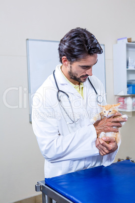 Vet holding a cute cat in his hand