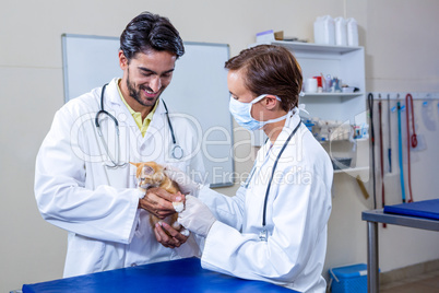 Smiling vets holding a cute cat