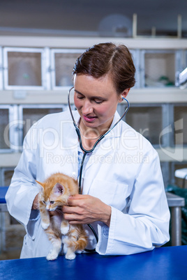 Woman vet auscultate a cute kitten in her hands