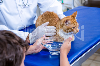 A vet and a child trying to giving water to a cat