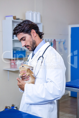 A vet holding and looking at a rabbit