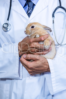 A vet holding a rabbit in his arms