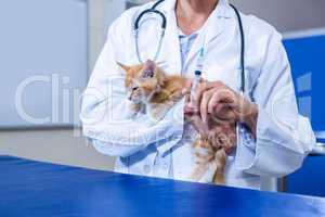 A cat just be about to receive an injection