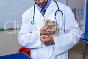 A vet man holding a rabbit