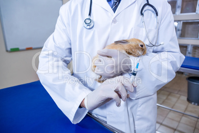 A vet holding a rabbit