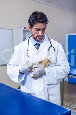 A vet holding a rabbit and preparing an injection