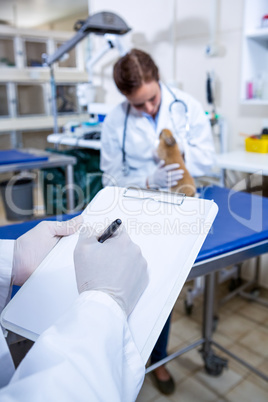 A vet taking note on a clipboard